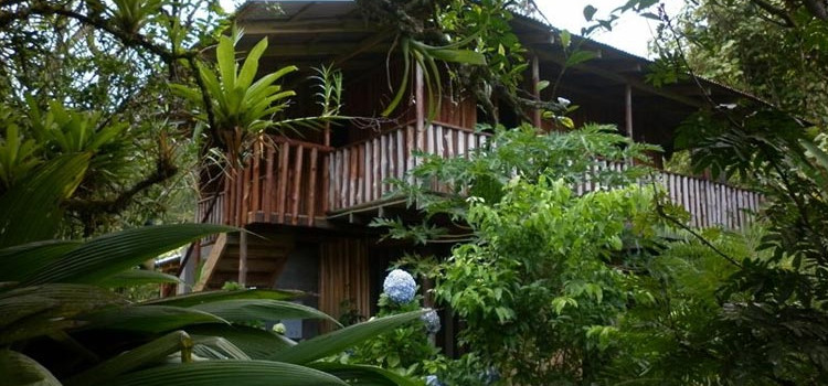 Cataratas Bijagua Lodge Cataratas Bijagua Lodge