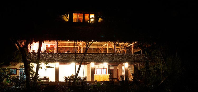 Copa de Arbol Copa de Arbol