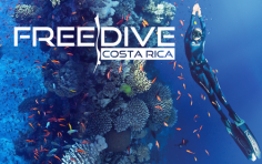 Freedive Costa Rica Freedive Costa Rica
