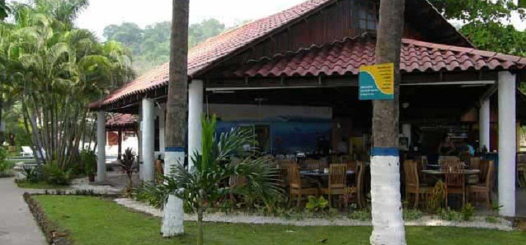 Fuego del Sol Fuego del Sol