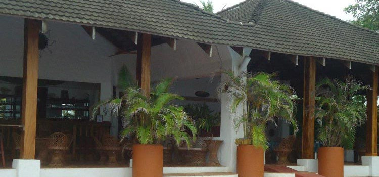 Iguana Azul Hotel Iguana Azul Hotel