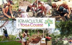 Permaculture and Yoga Retreat at Rancho Delicioso Permaculture and Yoga Retreat at Rancho Delicioso