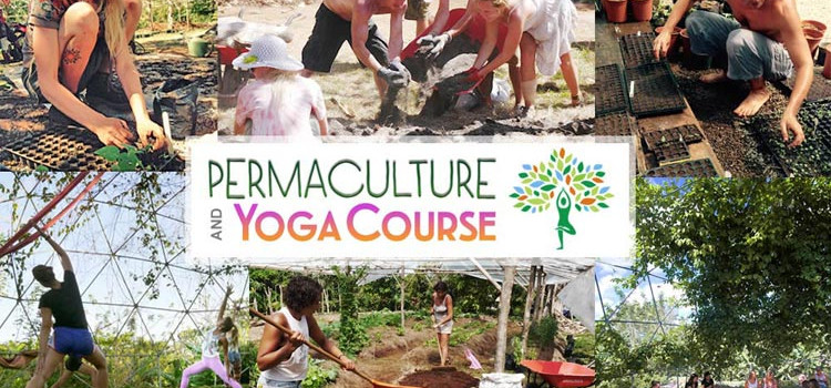 Permaculture and Yoga Retreat at Rancho Delicioso