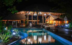 Bodhi Tree Yoga Resort Bodhi Tree Yoga Resort