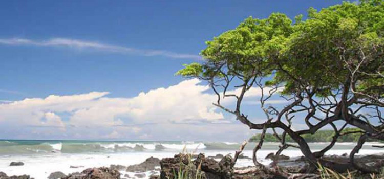 10 reasons you should visit Costa Rica 10 reasons you should visit Costa Rica