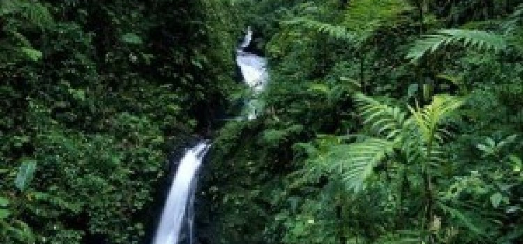 Eco Tours in Costa Rica