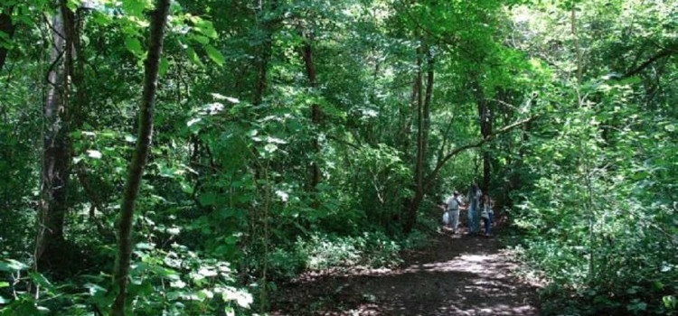 National Parks of Costa Rica National Parks of Costa Rica