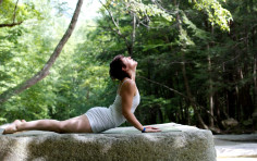 Yin Yoga Yin Yoga