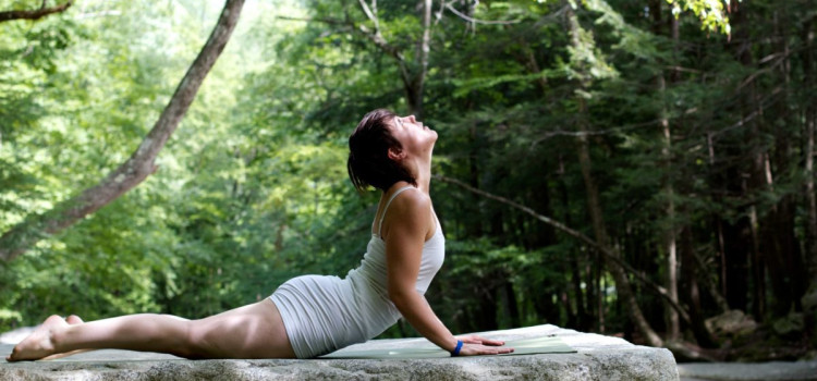 Yin Yoga Yin Yoga