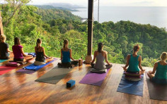 Vinyasa Flow Yoga Vinyasa Flow Yoga