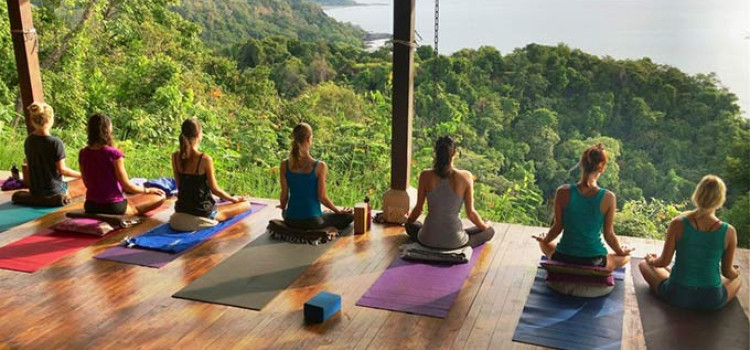 Vinyasa Flow Yoga Vinyasa Flow Yoga