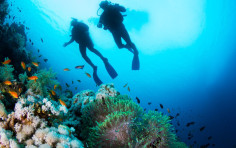Rock Divers Costa Rica Rock Divers Costa Rica