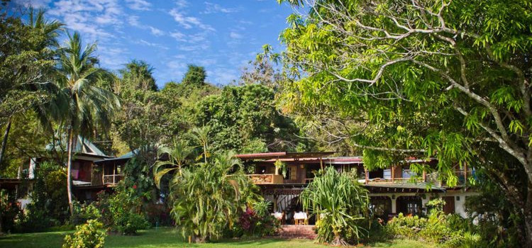 Amor de Mar Amor de Mar