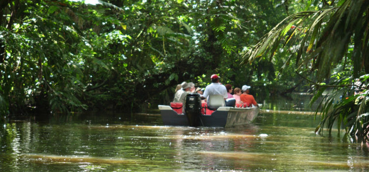 Tortuguero Tortuguero