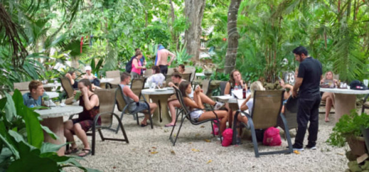 El Sano Banano El Sano Banano