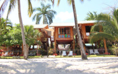 Samara Tree House Inn Samara Tree House Inn