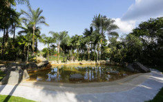 Arenal Paraiso Resort Arenal Paraiso Resort