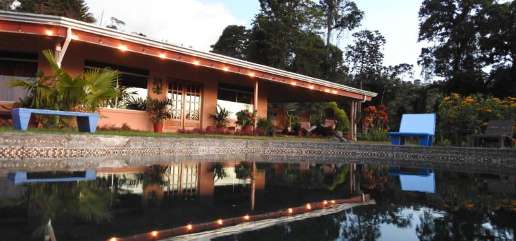 Nepenthe B&B Nepenthe B&B