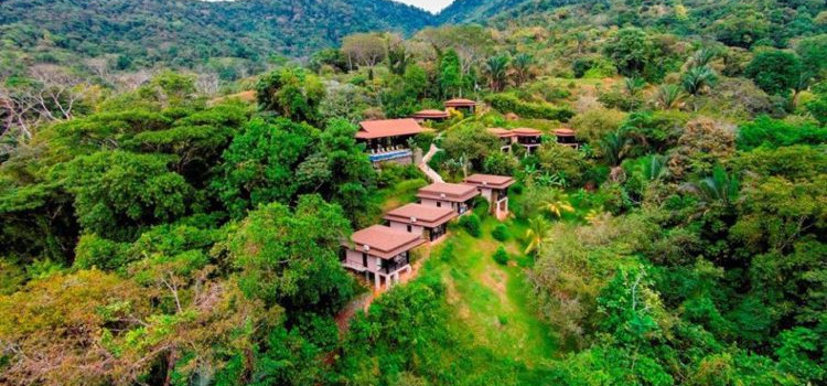 TikiVillas Rainforest Lodge TikiVillas Rainforest Lodge