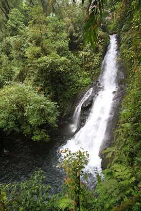 costa-rica-waterfall-near-el-silencio-290px