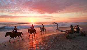 santa-teresa-beach-with-horses