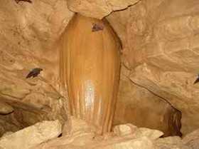 cavinginto