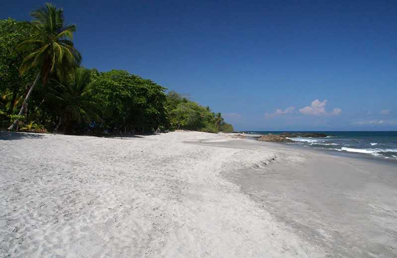 montezuma’s white sand beach -800px