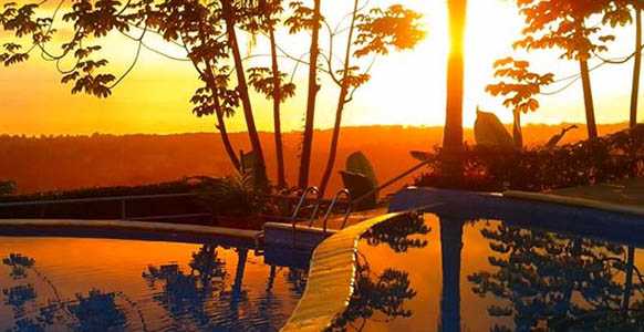 whales-and-dolphins-hotel