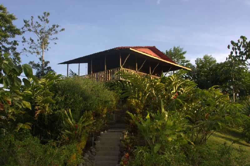 Cabin_at_Leaves_and_Lizards