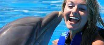 The Divine Dolphin Costa Rica