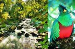 El Manantial Lodge Mountain Lodge