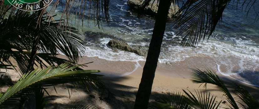 El Arbol Costa Rica
