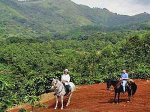 Vista del Valle Plantation Inn