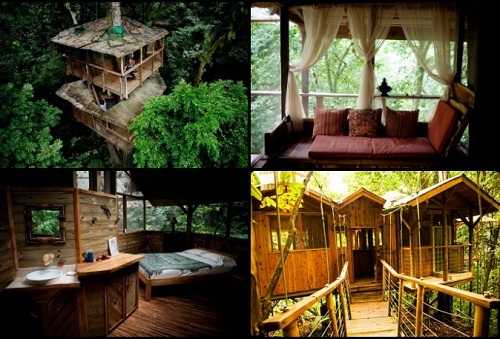 Finca Bellavista tree house