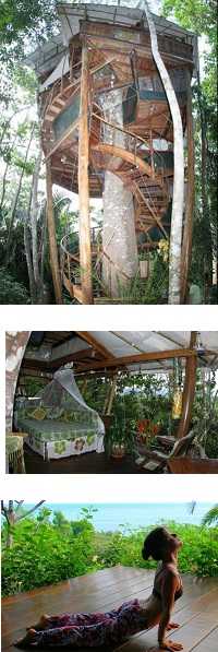 Lapa tree house facilities