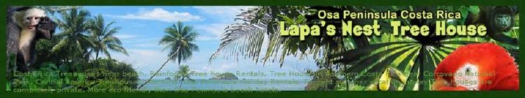 Lapa’s Next Tree House