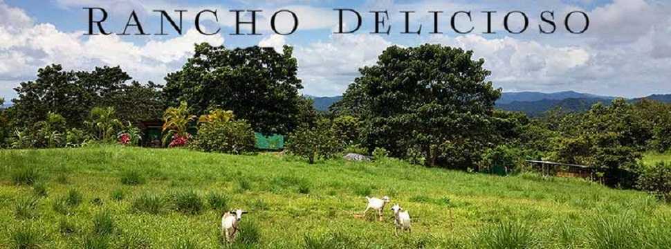 Rancho Delicioso