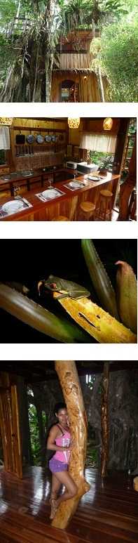 Topo’s tree house facilities