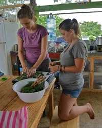 Volunteers Monica and Amanda making kale chips in the volunteer house