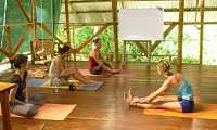 Women practicing Yoga