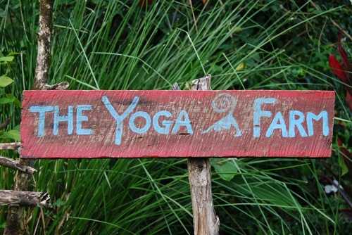 The Yoga Farm