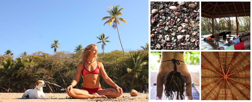 shaka beach retreat