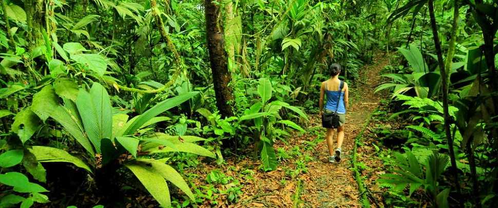 Braulio National Park, Costa Rica