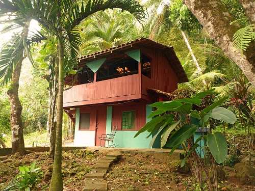 Jungle-lodge-front