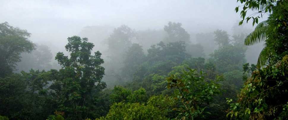 Piedras Blancas National Park