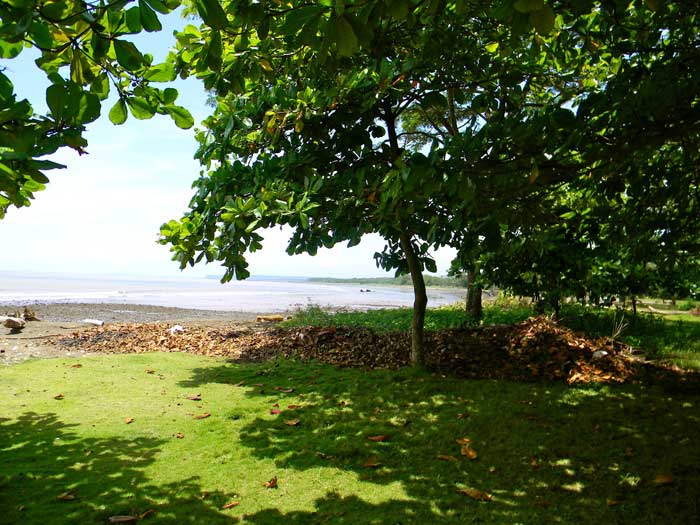 Tárcoles-River-and-Carara-N