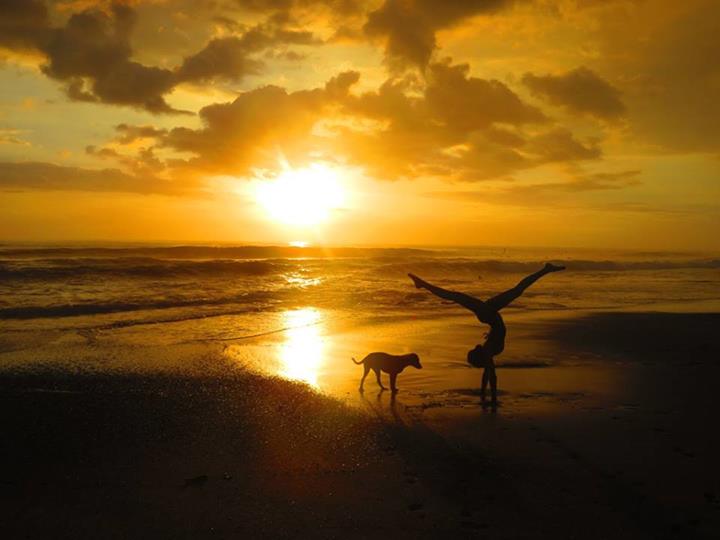 Dominical-Waverider-Surf-Camp-and-Retreat-1