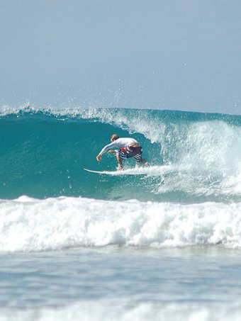 zopilote surfing