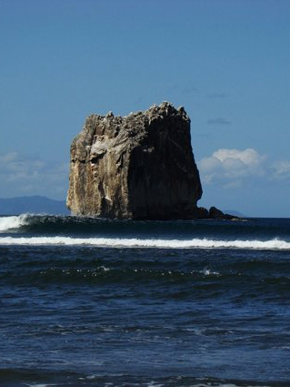 Ollie’s Point Surf Camp 2