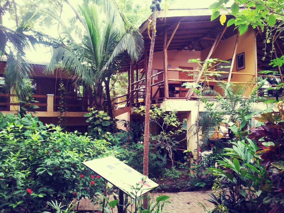 WAYRA Instituto de Español 1